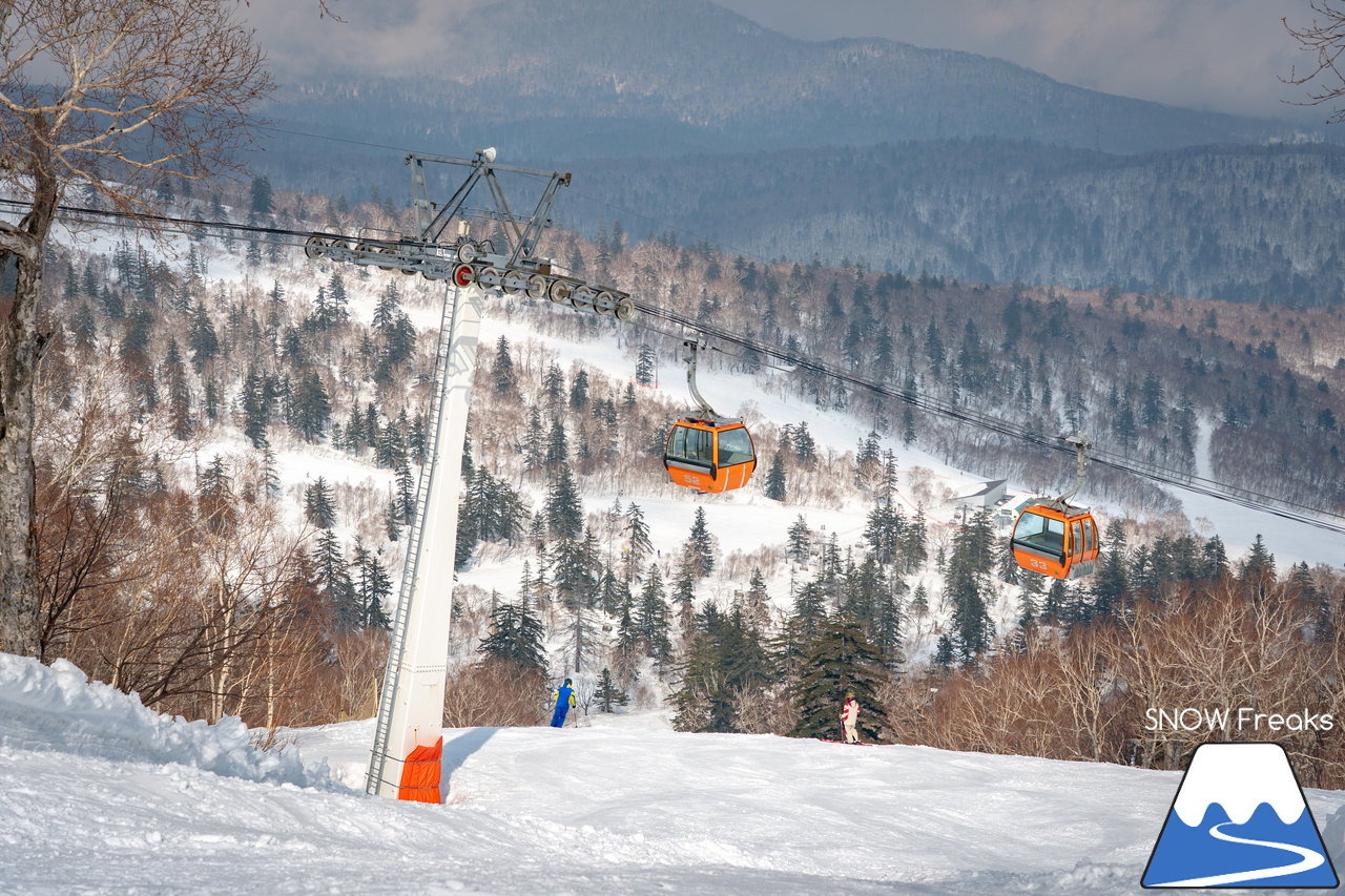 札幌国際スキー場｜さすが『KOKUSAI』！春シーズンも安泰の豊富な積雪で、まだまだ余裕で全面滑走可能です(^^)v